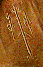 NAZCA.gif (16033 bytes)