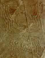 nazca1.jpg (3987 bytes)